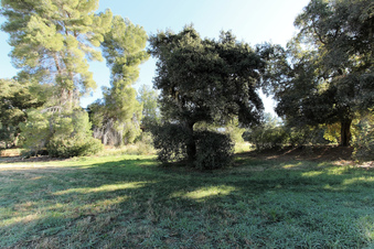Enlarge photo 18