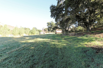 Enlarge photo 22