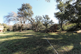 Enlarge photo 27