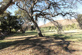 Enlarge photo 30