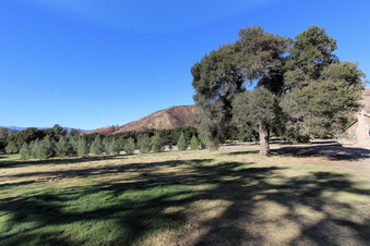 Enlarge photo 32