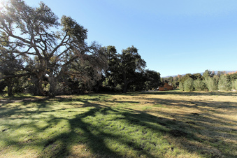 Enlarge photo 33