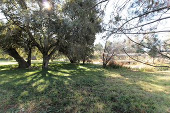 Enlarge photo 37