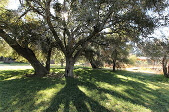 Enlarge photo 38