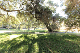 Enlarge photo 39