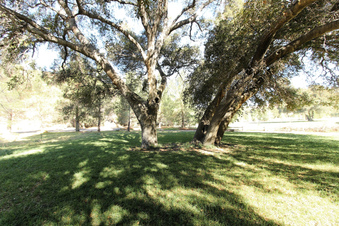 Enlarge photo 40