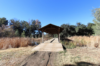Enlarge photo 41