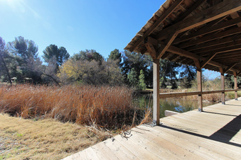 Enlarge photo 43