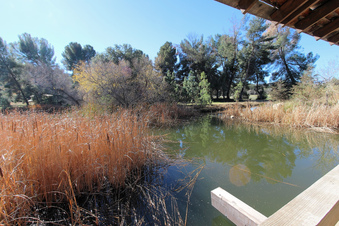 Enlarge photo 44