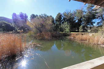 Enlarge photo 45