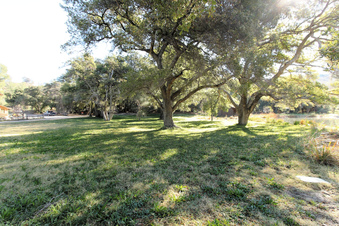 Enlarge photo 47