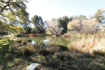 Enlarge photo 49