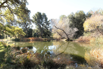 Enlarge photo 50