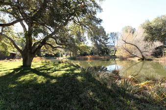 Enlarge photo 51