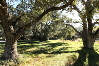 Enlarge photo 52