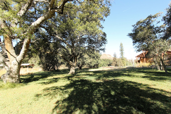 Enlarge photo 53