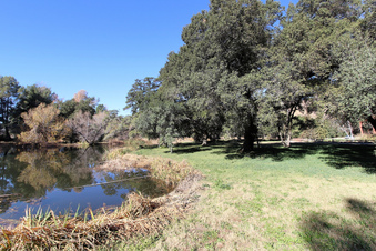 Enlarge photo 54