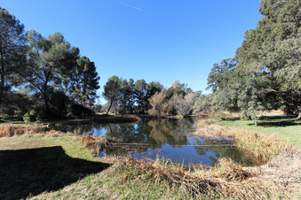 Enlarge photo 55