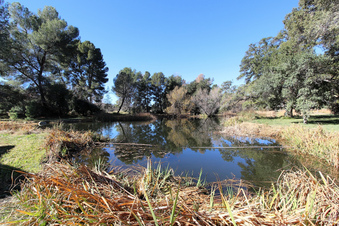 Enlarge photo 56