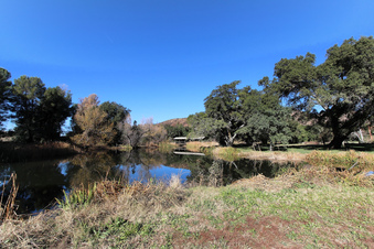 Enlarge photo 58