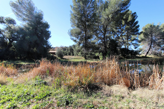 Enlarge photo 59