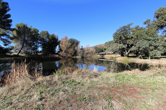 Enlarge photo 60