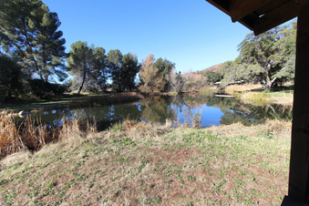 Enlarge photo 61