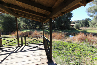 Enlarge photo 63