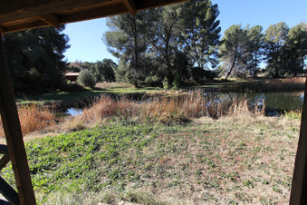 Enlarge photo 64