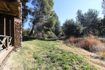 Enlarge photo 65
