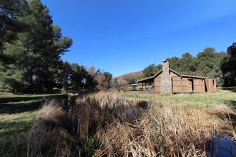 Enlarge photo 70
