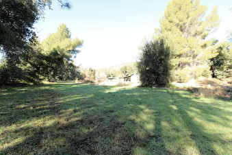 Enlarge photo 72