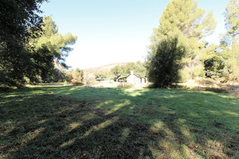 Enlarge photo 73
