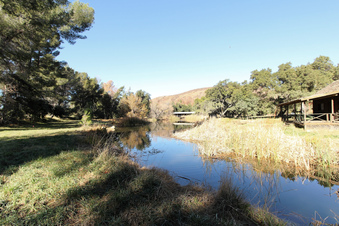 Enlarge photo 74