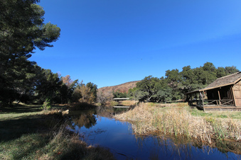 Enlarge photo 75