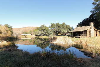 Enlarge photo 76