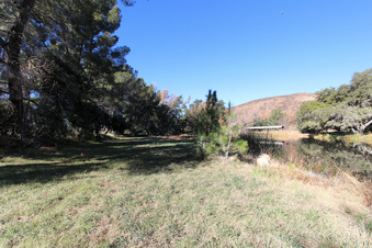 Enlarge photo 77
