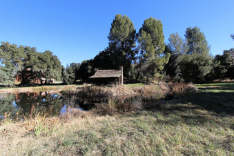 Enlarge photo 78