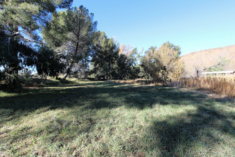 Enlarge photo 79