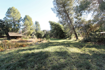 Enlarge photo 80