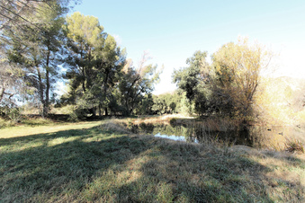 Enlarge photo 81