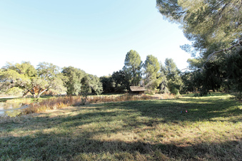 Enlarge photo 82