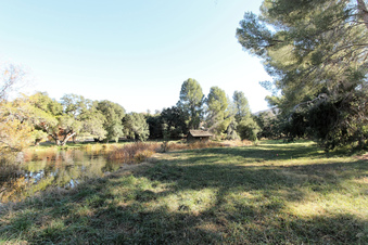 Enlarge photo 83