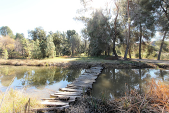 Enlarge photo 84