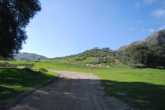 Enlarge photo 20