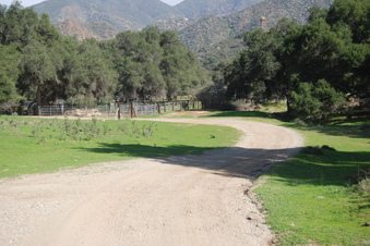 Enlarge photo 21