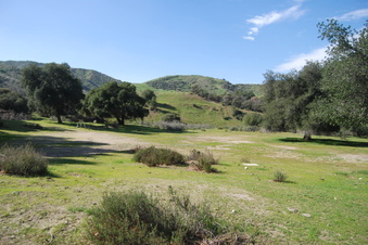 Enlarge photo 51