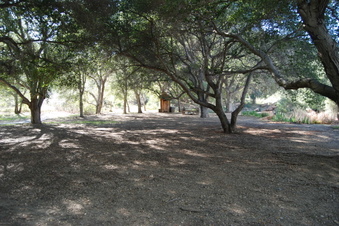 Enlarge photo 56