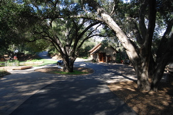 Enlarge photo 57