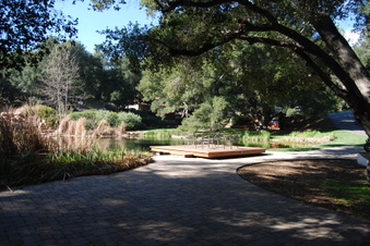 Enlarge photo 58